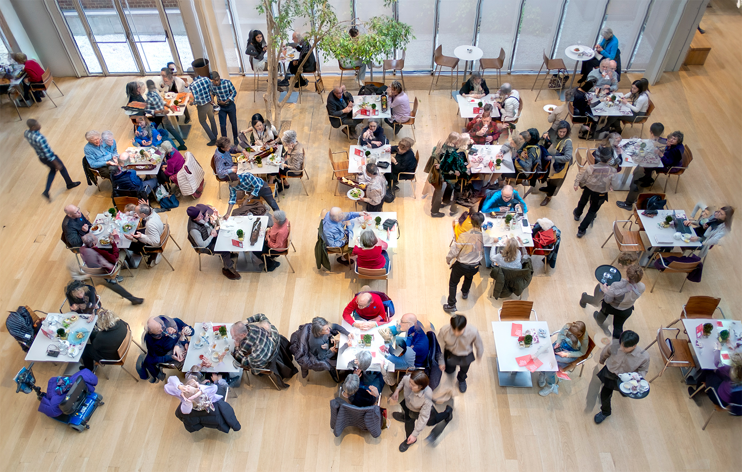 The Morgan Library & Museum Cafe, NYC, 2025