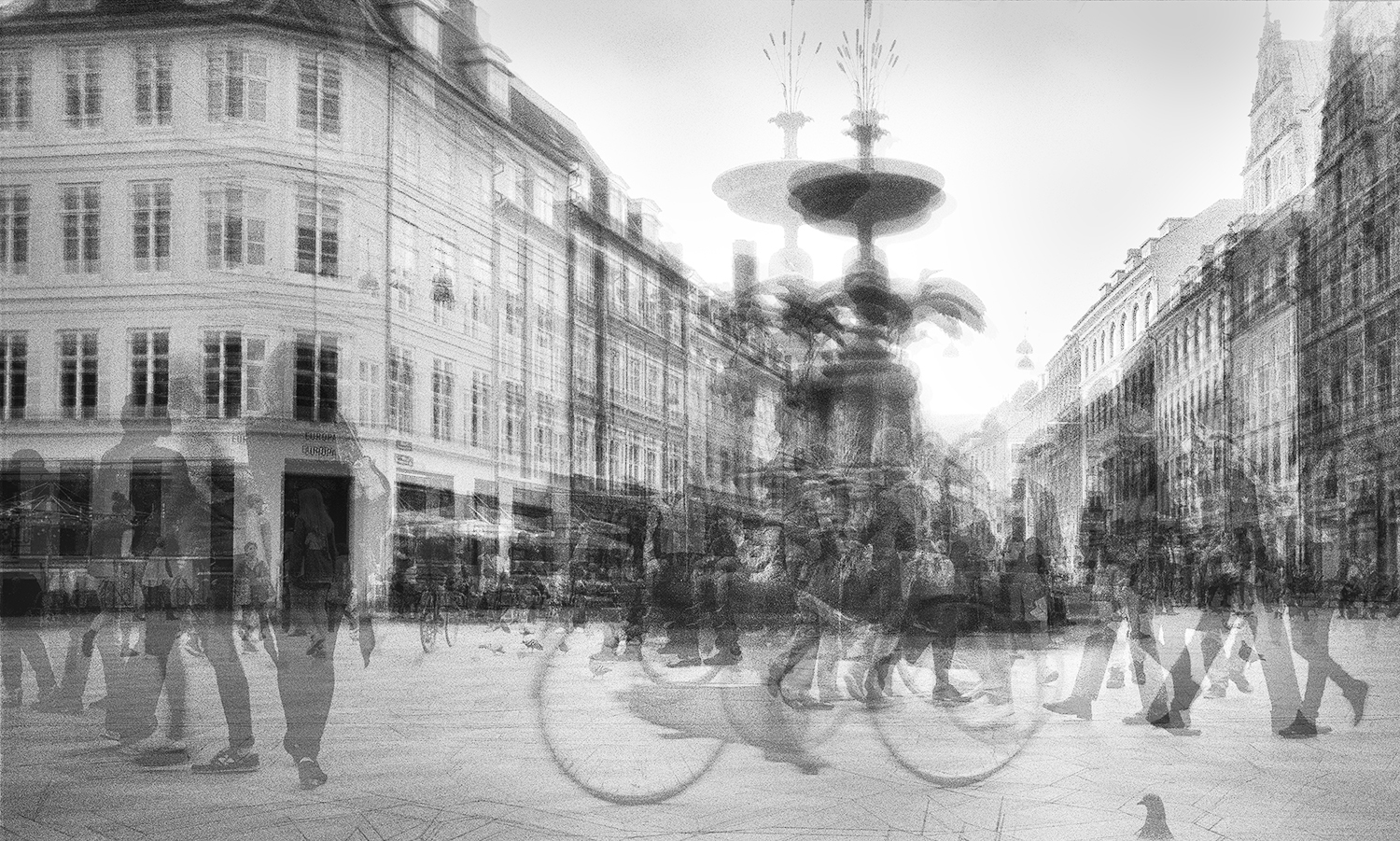 Stork Fountain, Copenhagen, 2014 